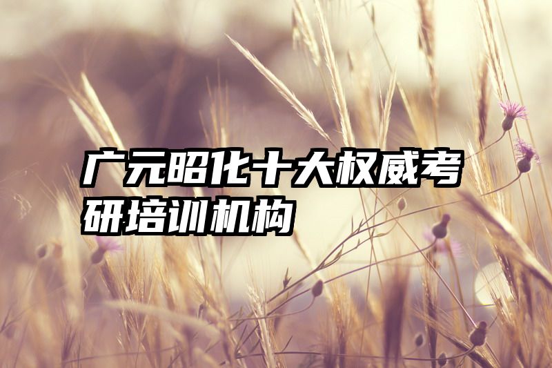 广元昭化十大权威考研培训机构