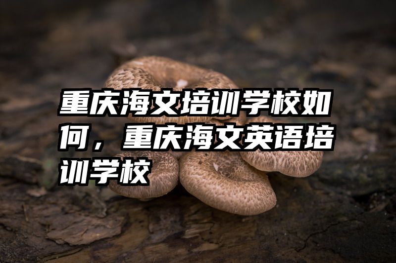 重庆海文培训学校如何,重庆海文英语培训学校