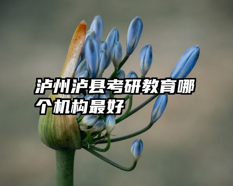 泸州泸县考研教育哪个机构最好