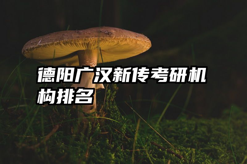 德阳广汉新传考研机构排名