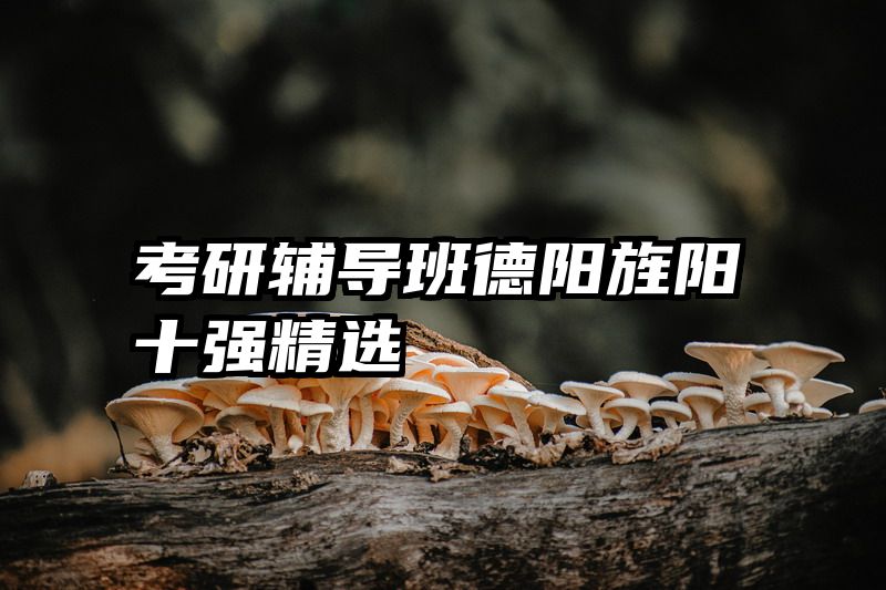 考研辅导班德阳旌阳十强精选