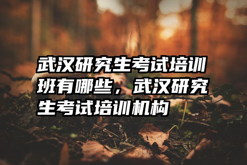 武汉研究生考试培训班有哪些,武汉研究生考试培训机构