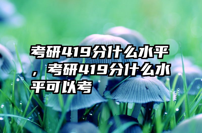 考研419分什么水平，考研419分什么水平可以考