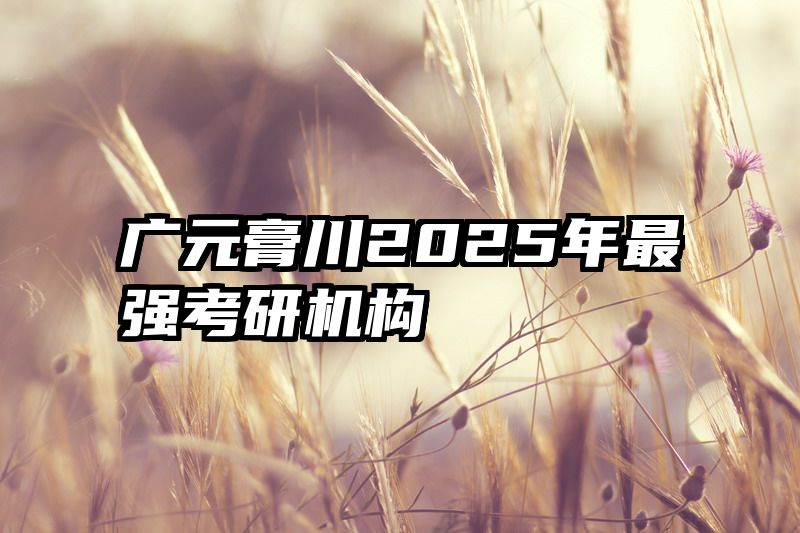 广元膏川2025年最强考研机构