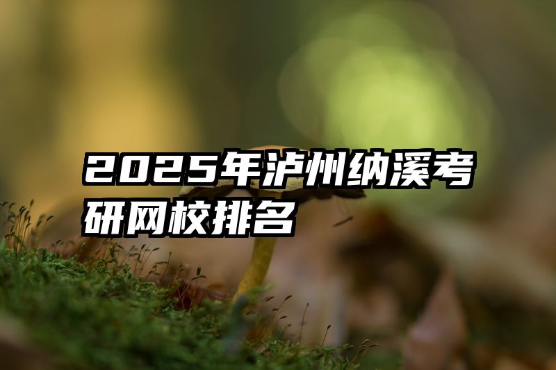 2025年泸州纳溪考研网校排名