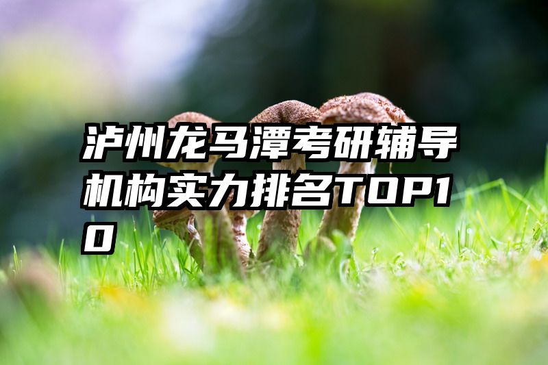 泸州龙马潭考研辅导机构实力排名TOP10