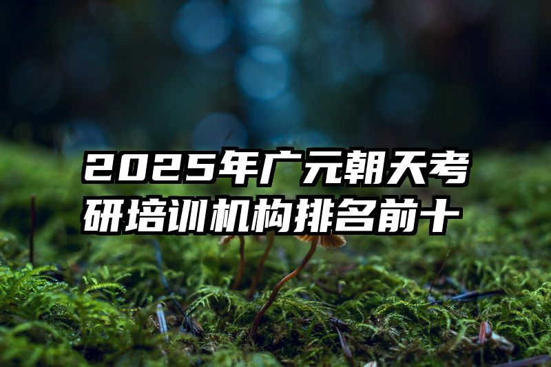 2025年广元朝天考研培训机构排名前十