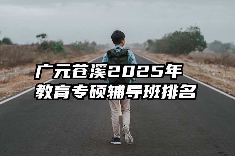 广元苍溪2025年教育专硕辅导班排名