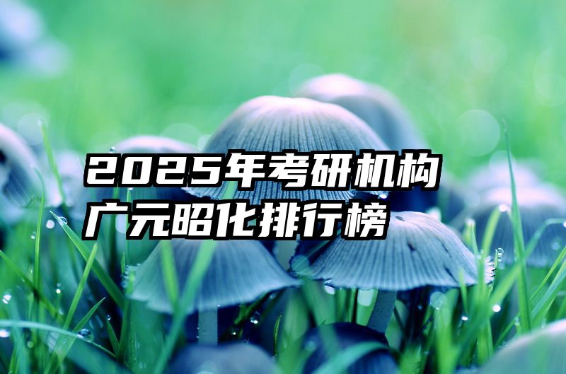 2025年考研机构广元昭化排行榜