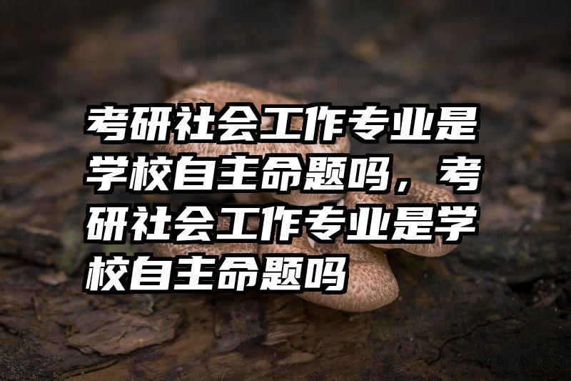 考研社会工作专业是学校自主命题吗,考研社会工作专业是学校自主命题吗