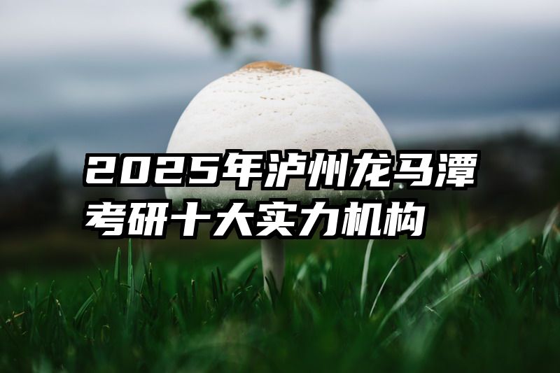 2025年泸州龙马潭考研十大实力机构