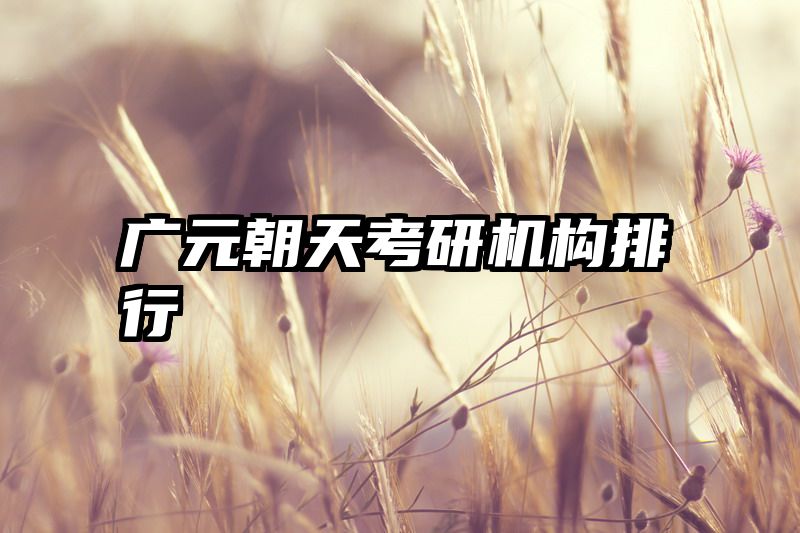 广元朝天考研机构排行