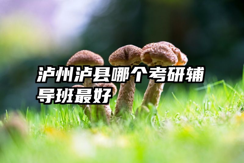 泸州泸县哪个考研辅导班最好