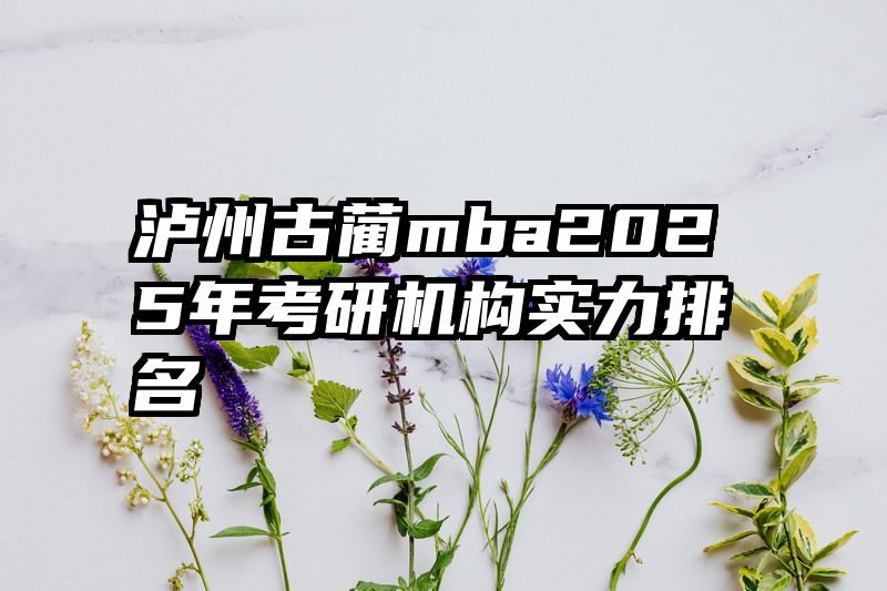 泸州古蔺mba2025年考研机构实力排名