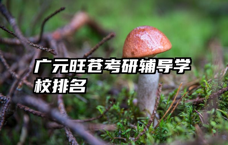 广元旺苍考研辅导学校排名