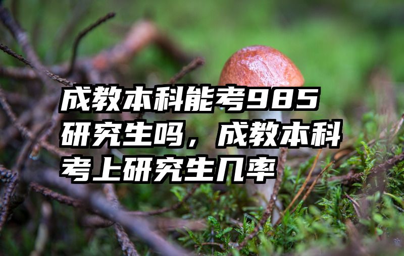 成教本科能考985研究生吗，成教本科考上研究生几率