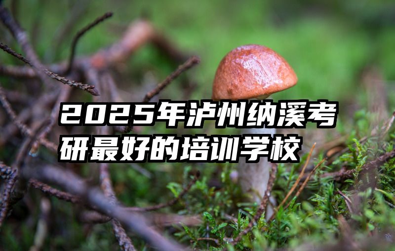 2025年泸州纳溪考研最好的培训学校
