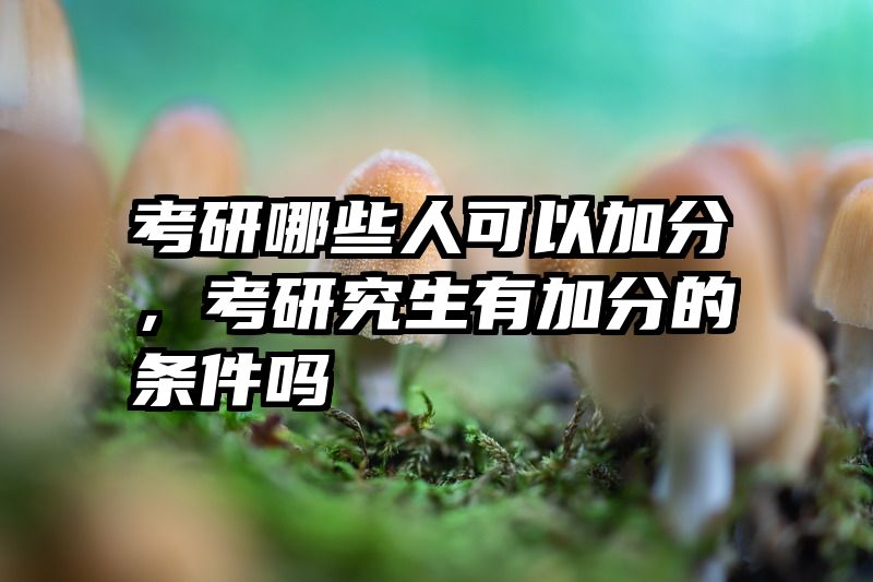 考研哪些人可以加分,考研究生有加分的条件吗