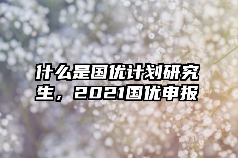 什么是国优计划研究生,2021国优申报