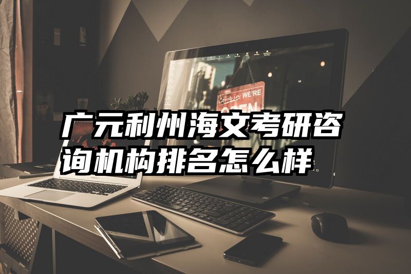 广元利州海文考研咨询机构排名怎么样