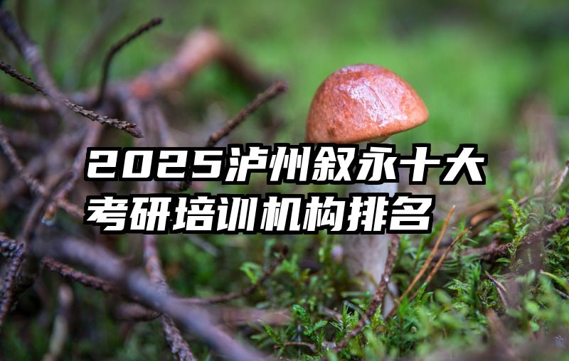 2025泸州叙永十大考研培训机构排名