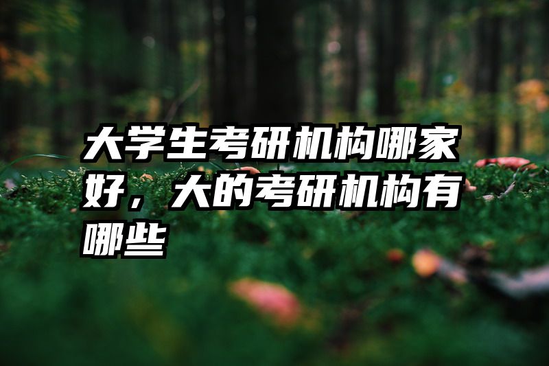 大学生考研机构哪家好,大的考研机构有哪些
