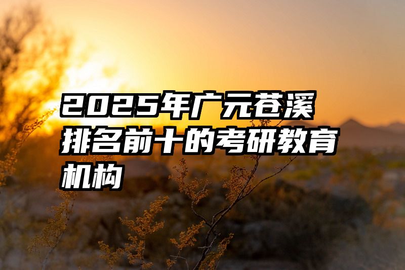 2025年广元苍溪排名前十的考研教育机构