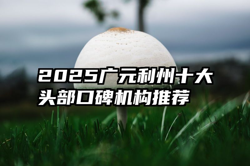 2025广元利州十大头部口碑机构推荐