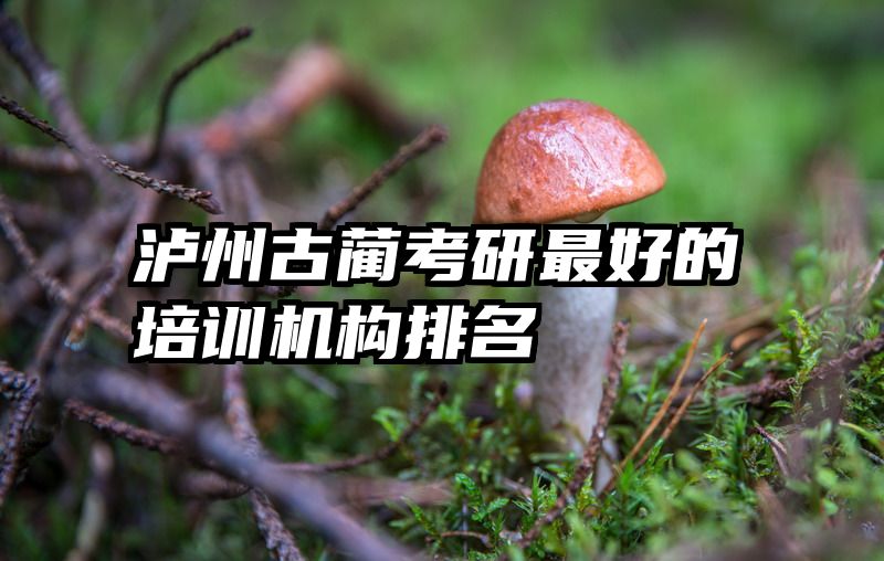 泸州古蔺考研最好的培训机构排名