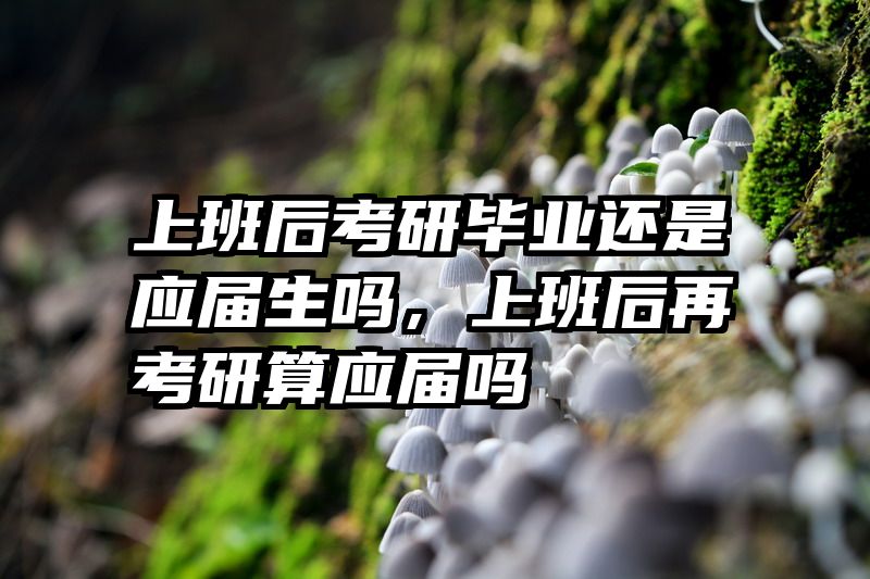 上班后考研毕业还是应届生吗,上班后再考研算应届吗