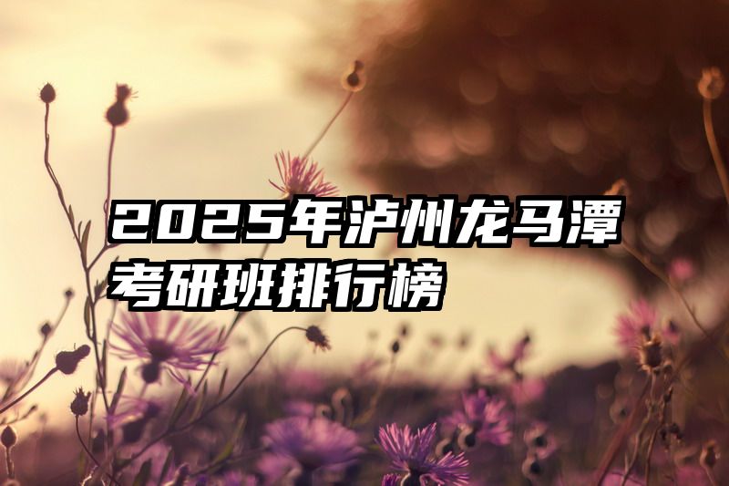 2025年泸州龙马潭考研班排行榜