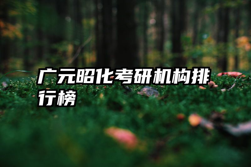 广元昭化考研机构排行榜