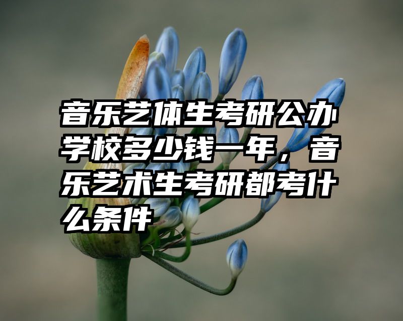 音乐艺体生考研公办学校多少钱一年,音乐艺术生考研都考什么条件