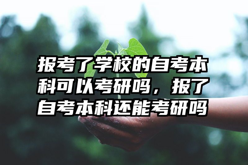 报考了学校的自考本科可以考研吗，报了自考本科还能考研吗
