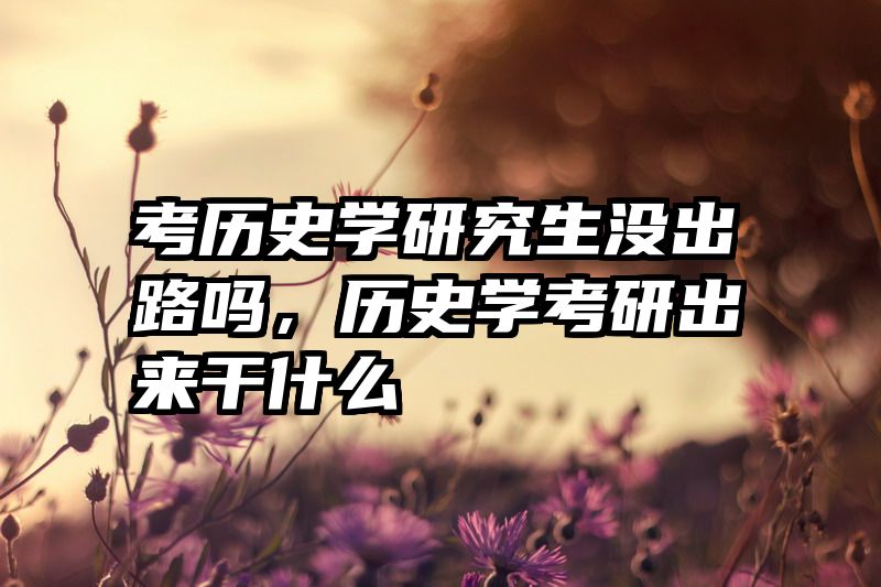 考历史学研究生没出路吗,历史学考研出来干什么