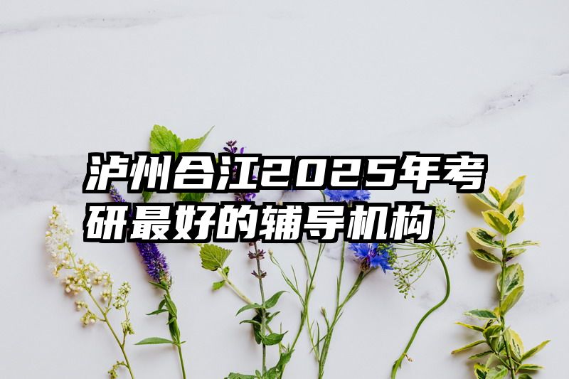 泸州合江2025年考研最好的辅导机构