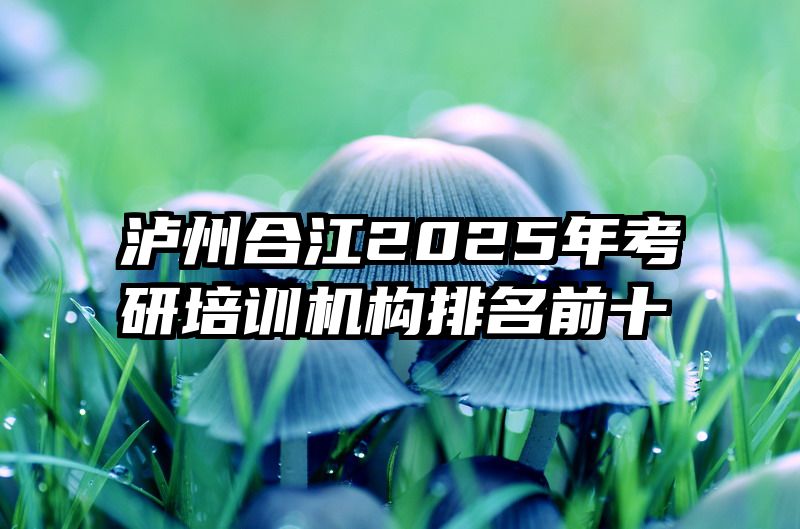 泸州合江2025年考研培训机构排名前十