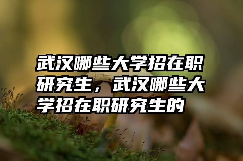 武汉哪些大学招在职研究生，武汉哪些大学招在职研究生的