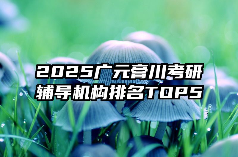 2025广元膏川考研辅导机构排名TOP5