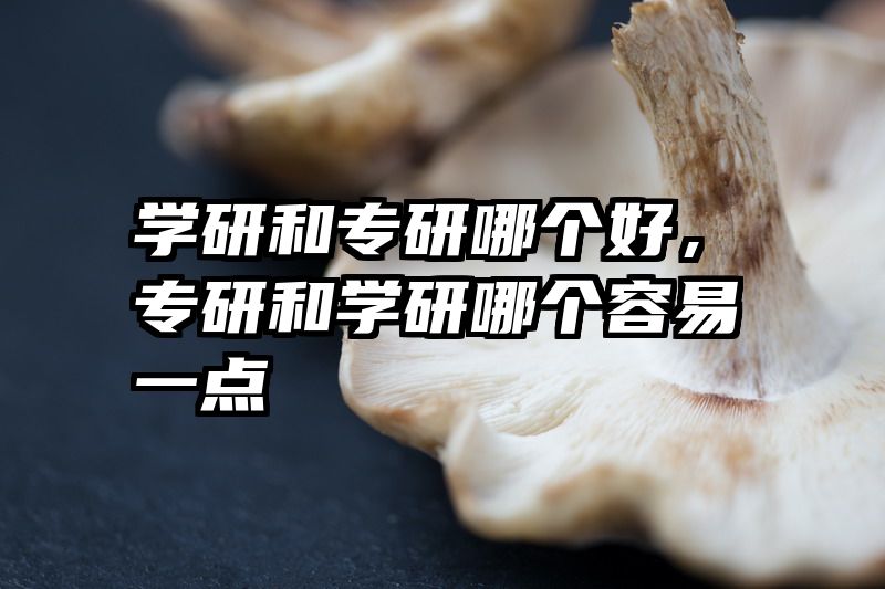 学研和专研哪个好，专研和学研哪个容易一点
