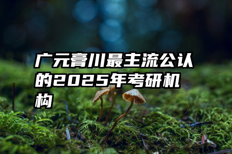 广元膏川最主流公认的2025年考研机构
