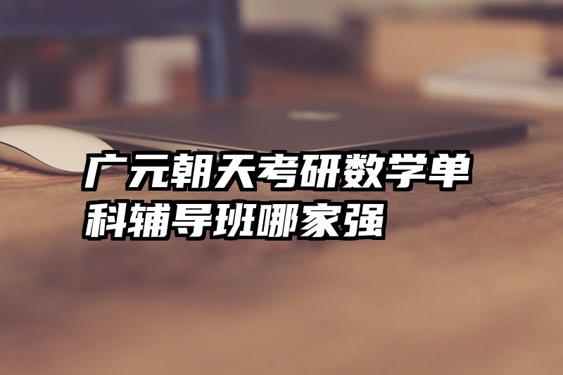 广元朝天考研数学单科辅导班哪家强