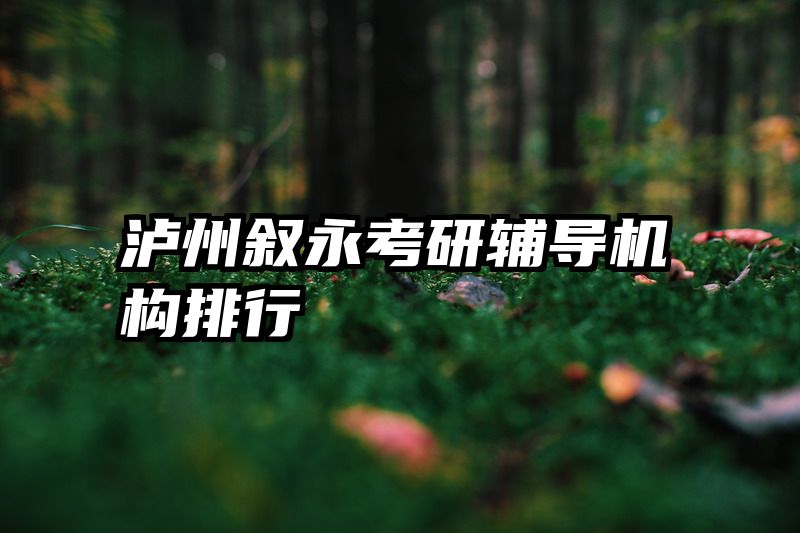 泸州叙永考研辅导机构排行