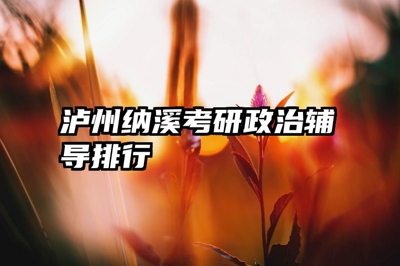泸州纳溪考研政治辅导排行