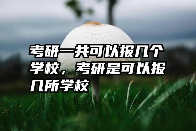 考研一共可以报几个学校，考研是可以报几所学校