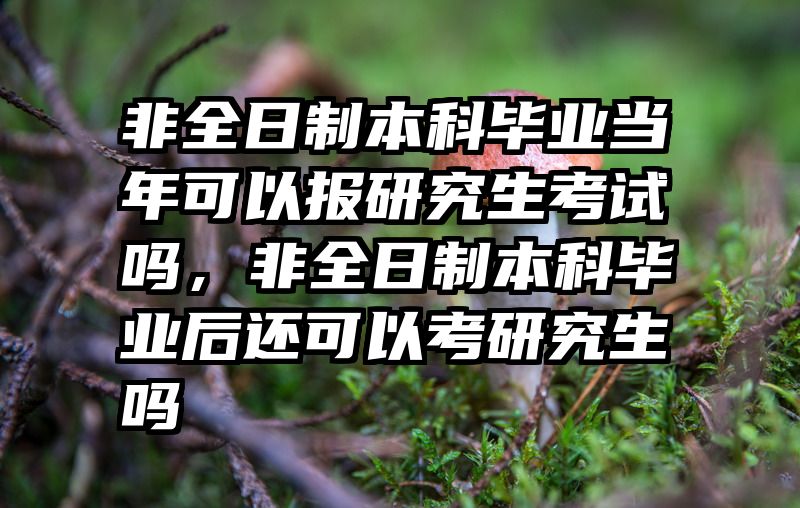 非全日制本科毕业当年可以报研究生考试吗,非全日制本科毕业后还可以考研究生吗