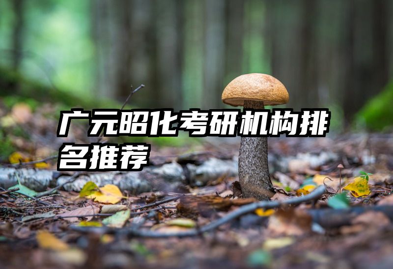 广元昭化考研机构排名推荐