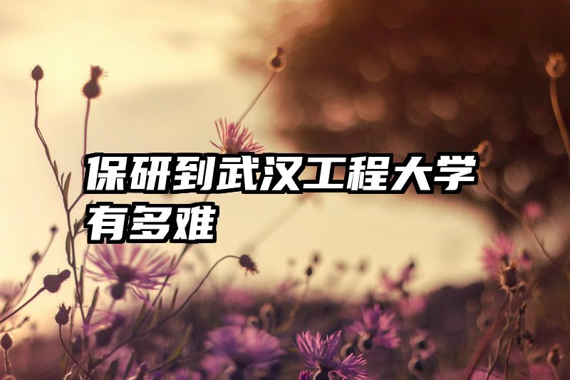保研到武汉工程大学有多难