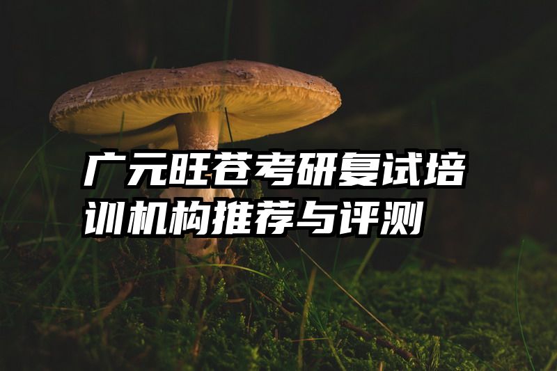 广元旺苍考研复试培训机构推荐与评测