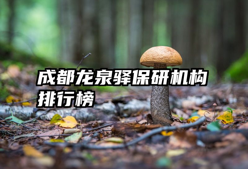 成都龙泉驿保研机构排行榜